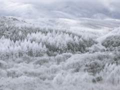 白鬼傳(백귀전)