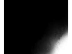 겨울날의 해바라기