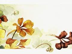 [ 인청커 프로필 ]