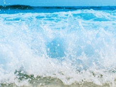 벨라가 제키에게