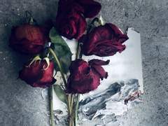 [주정재] 생의 의미