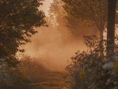 계절과 함께 찾아온