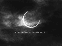 나만 보려고 정리하는 테오 로그 링크 정리