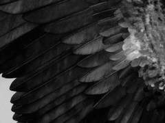 +22°, 23’, 47.4”.