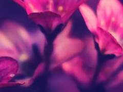 젤로스 N. 에레보스 / XX / 14