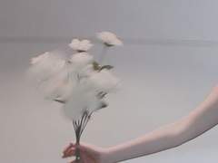 주는 나의 은신처이오니 환난에서 나를 보호하시고 구원의 노래로 나를 두르시리이다