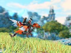 파투와 초코보를!