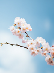 [화산귀환/윤종] 모르는 사람들이 찾아온다