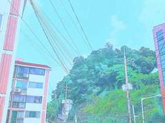 제발 학교 좀 나와라!