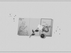 리시안셔스가 올려진 편지 한장.