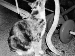 연애는 몰라도 자는 건 나랑만 해