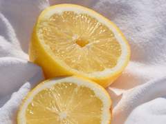 Day01. 햇볕, 그 따스한 시작