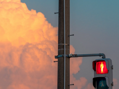 도쿄 청춘 로맨스 7