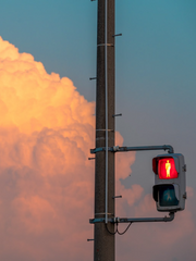 도쿄 청춘 로맨스