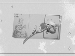 붉은 튤립이 올려진 편지 한장.