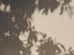 탈레아✦여성✦평민