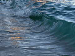 꿈은 진실이 된다.