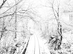 사랑의 장례만은 치르지 말자.