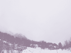 당신의 장례식에 내가 없기를