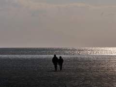 내 여름이 묻혀 있는 심장은