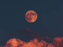 해량무현/ 이우는 달을 품에 안고. 一