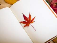 어느 일기장 하나