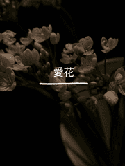 사랑 이야기를 담아야지.