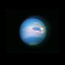 마지막 줄이 텅 빈 우리