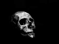 [진쉐리] 사해와 유의