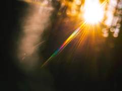 Dear. Charlotta Agatha Lustig