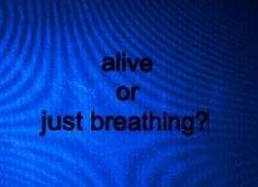 고장난 텔레비전