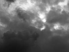 THΣ βLΔCҜ RΔββIT LI∇ΣS Δ DΔΨ TΩDΔΨ.