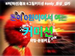 돈이 0원이여서 여는 커미션