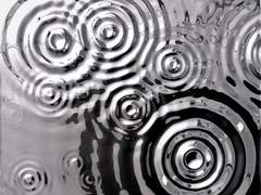 귓가에 울려 퍼지는 유포리아의 소리