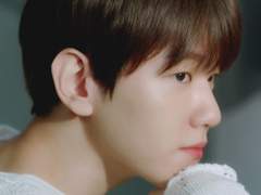 묵혀둔 센티넬물