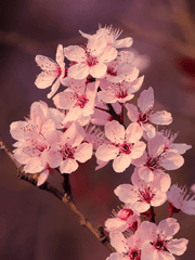 화산귀환 전력 100분