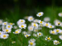 입 밖으로 내뱉어 직시하라.