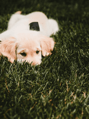 무차별적 수인 혐오를 멈춰주세요