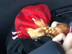 머위와 무화과의 비논리