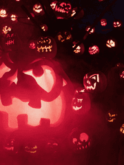 Halloween Party for Slug