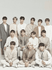 세븐틴 BL 단편 모음