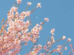 마감기한 : 2년 후 오늘