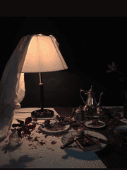 Vampire in the house