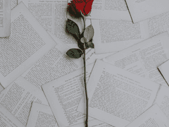 짝사랑 바톤터치