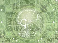 [미네야마 타이세이 / 무장탐정사 / 정보 과다]