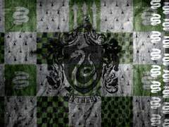 [포켓몬 드림 / 비트 드림] Welcome to hogwarts! (2)