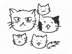 올곧은 눈빛을 기다리며