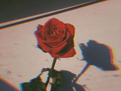 [산즈타케] Beauty And The Beast