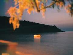 첫 재회만 50번째