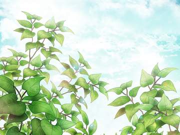 작은 나뭇가지 브러시